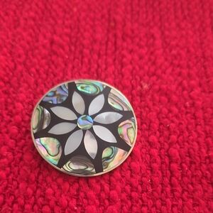 Colorful Abalone Shell Brooch